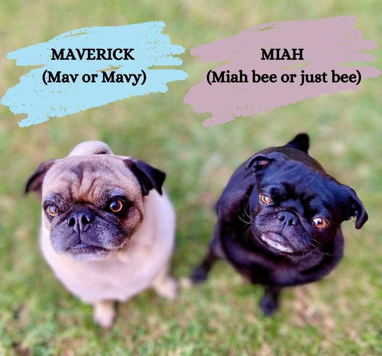 Pong Where It All Began